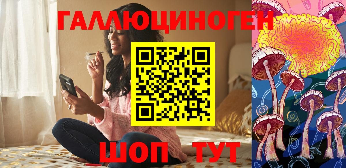 Прохладный  Псилоцибиновые грибы GOLDEN TEACHER  Вход с VPN 